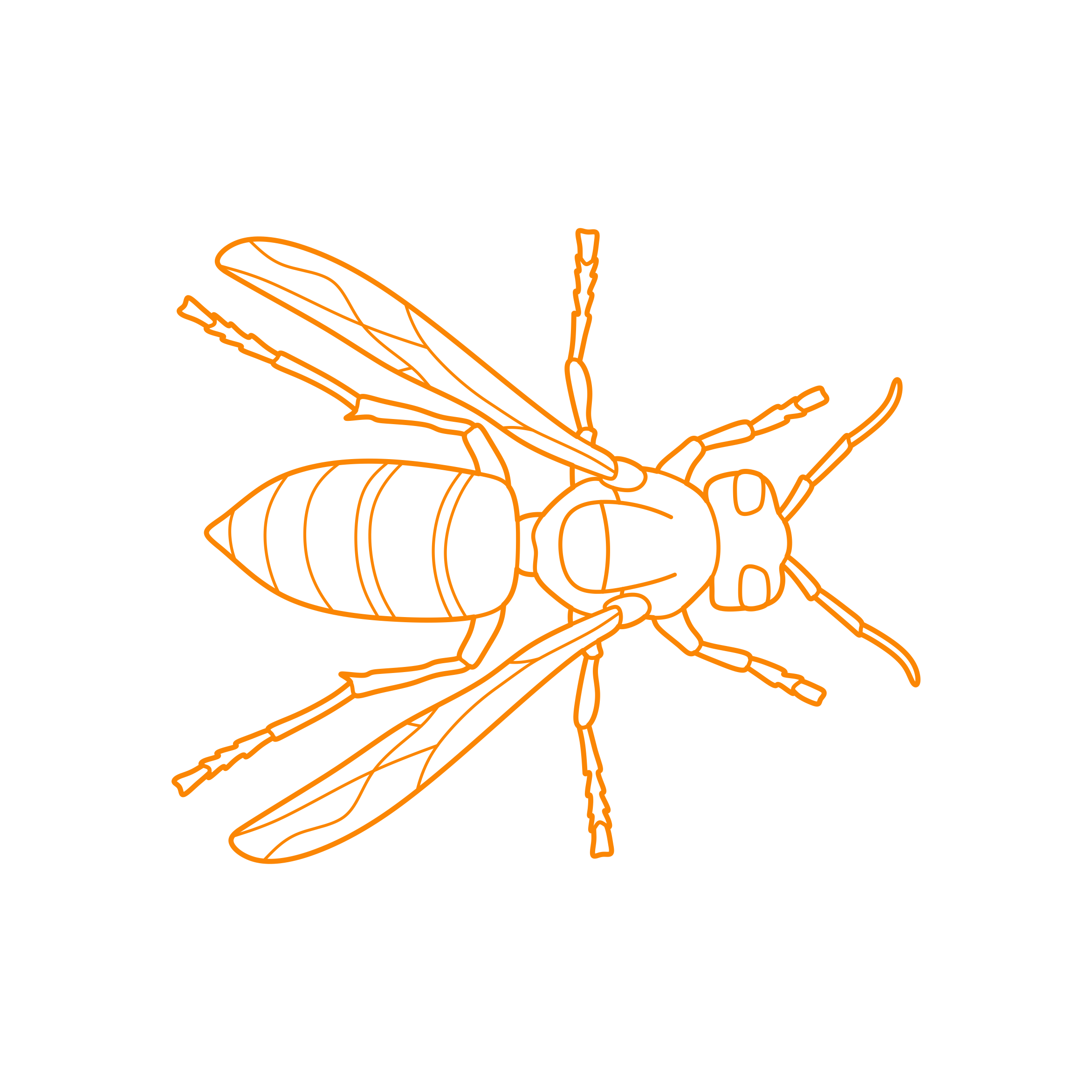 Animals Insects Asian Hornet Outline Svg File Free Vectors
